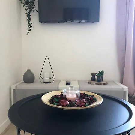 Appartement Chaleureux Appartement *
